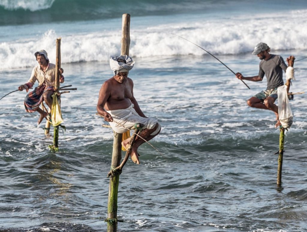 Locals practicing stilt fishing in Sri Lanka