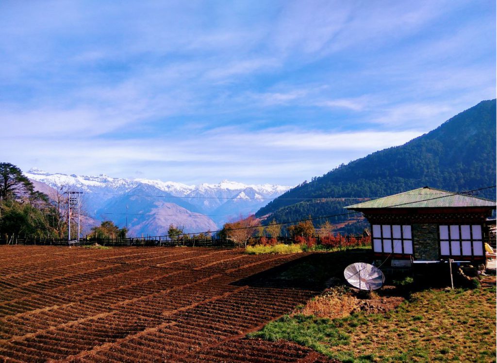 Terrace farming on the highlands on the way to Phobjikha