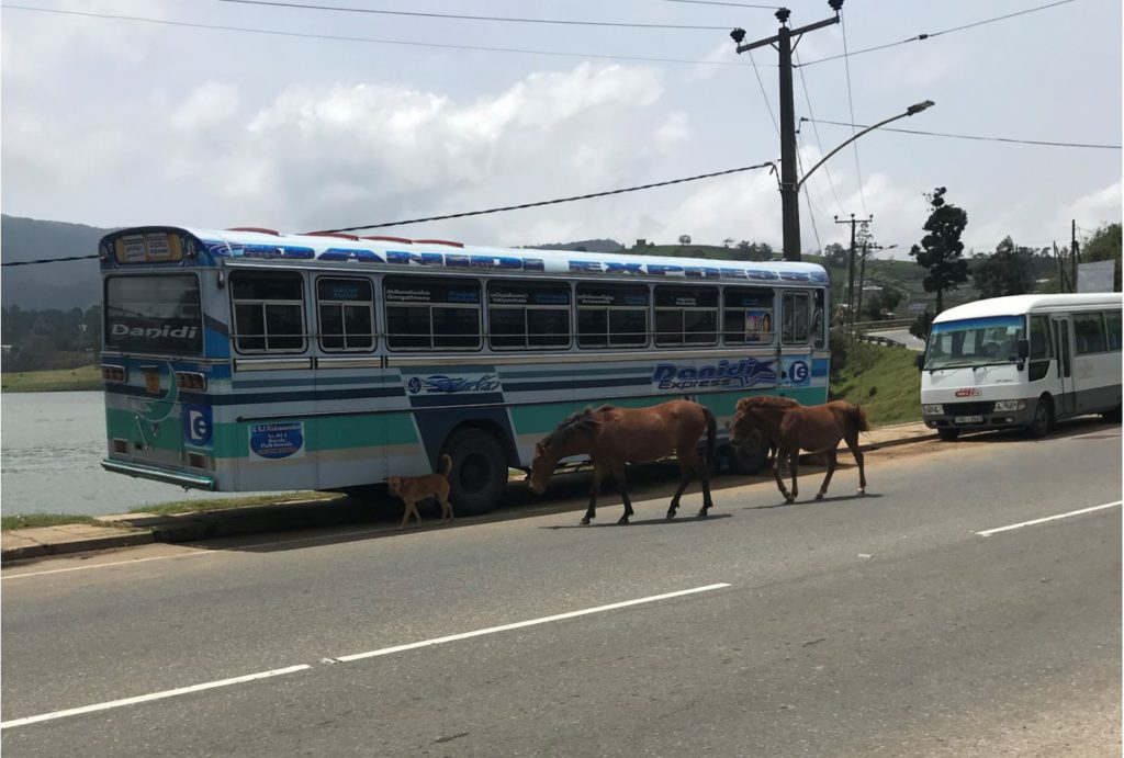 Local bus in Sri Lanka