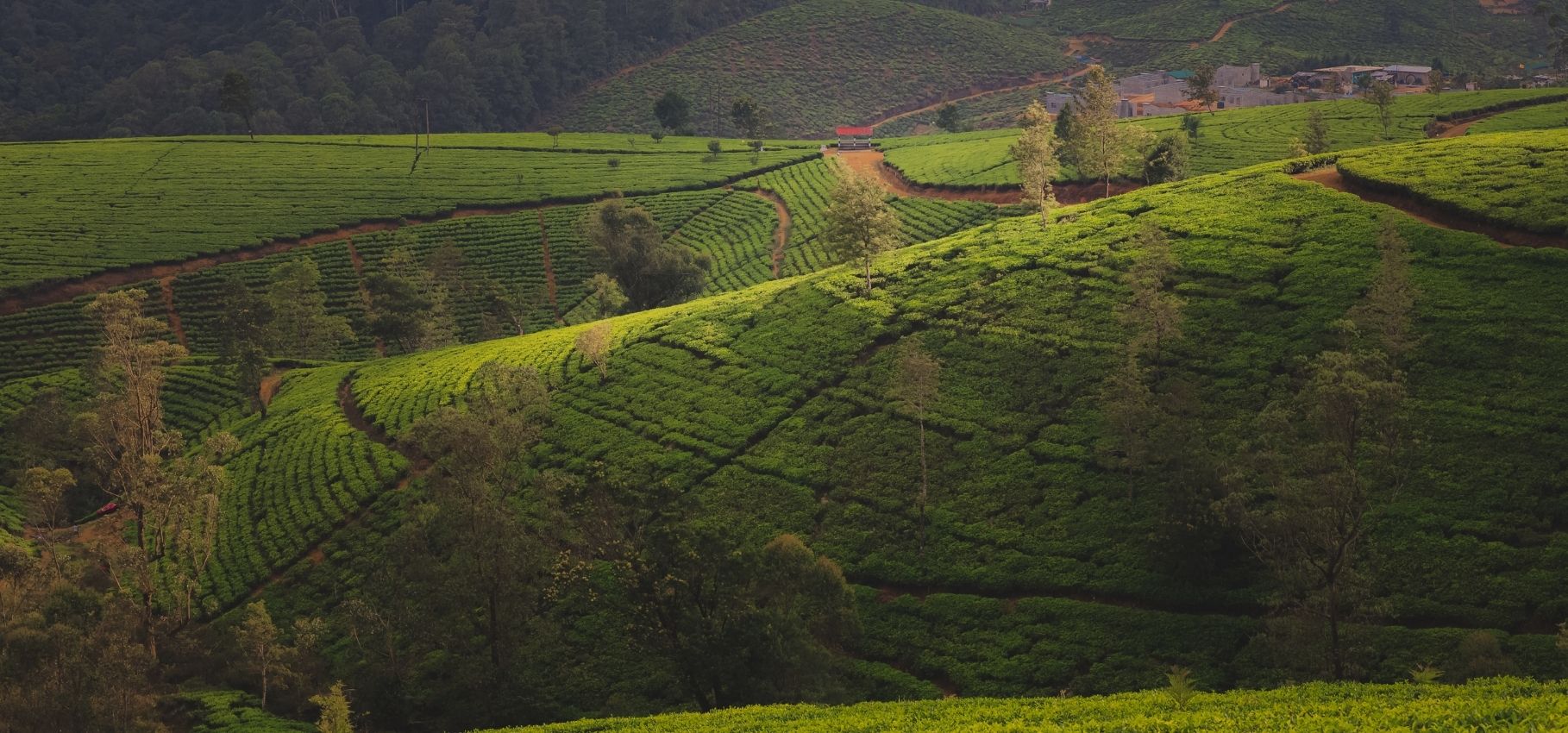 Places to visit in Nuwara Eliya, Sri Lanka