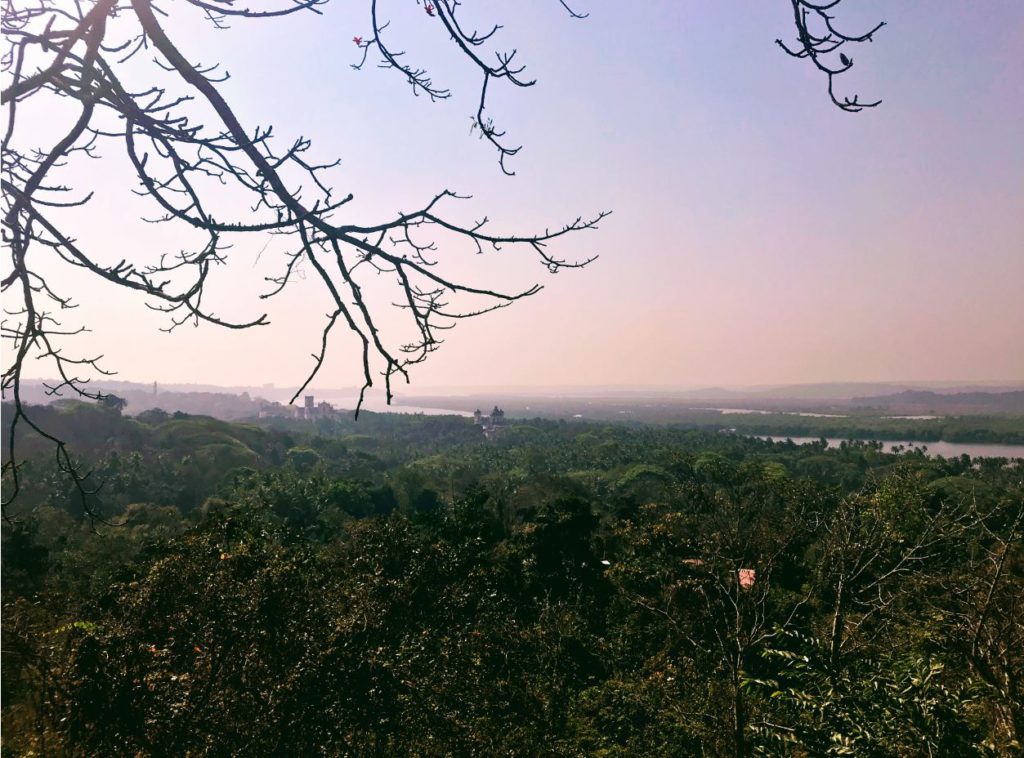 View of Goa from the Chapel of our lady of the mount