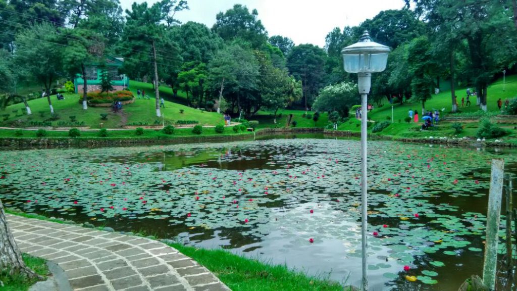 Lady Hydari Park, Shillong