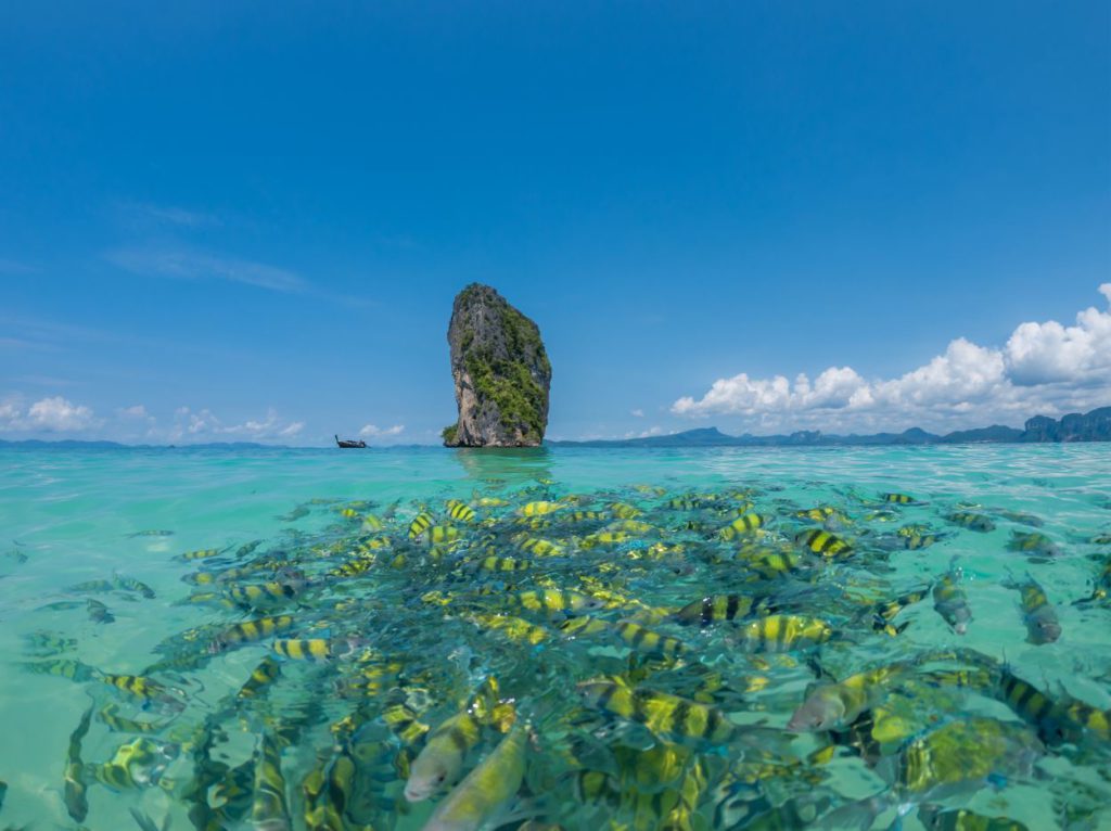 Clear waters on the beaches of Krabi