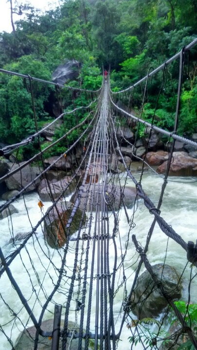 A rope bridge to cross over the rivers in the jungles of Meghalaya