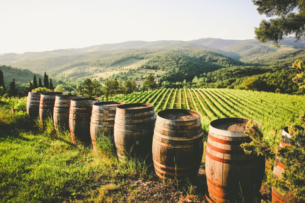 Wine barrels at a vineyard in Radda in Chianti, Italy