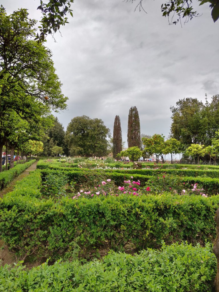 View of Farnese Gardens on top of Palatine Hill, Rome