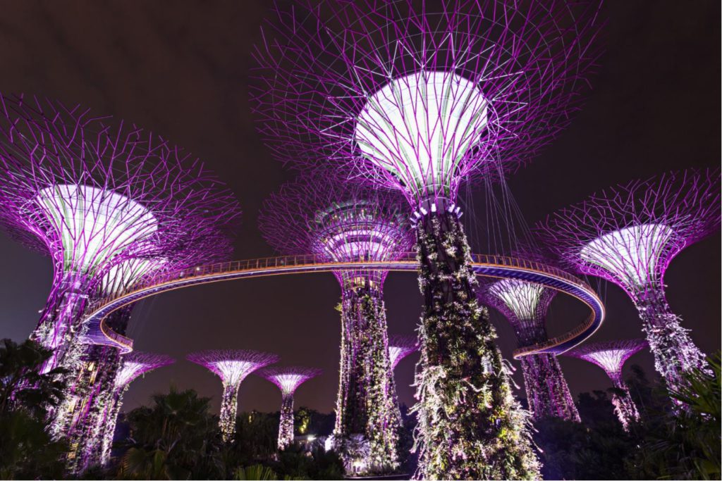 Supertrees lit at night, Gardens by the Bay