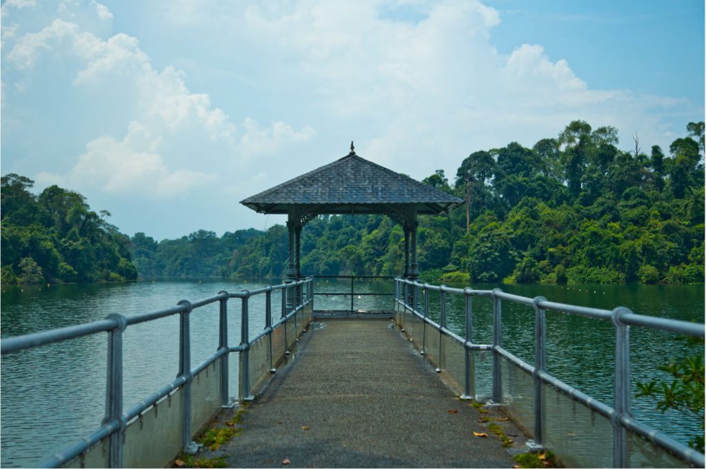 MacRitchie Reservoir Park – Singapore