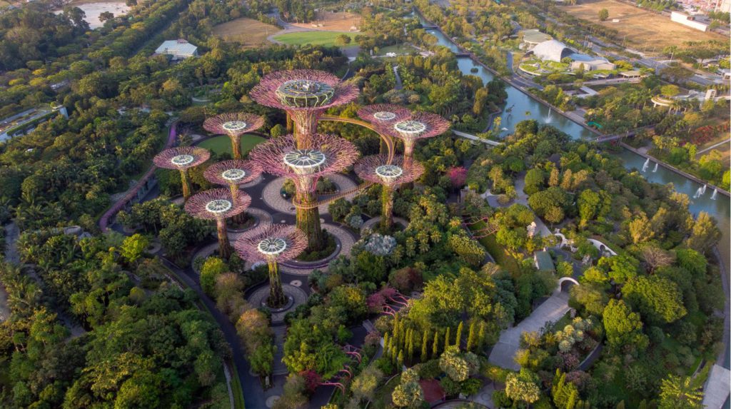 Aerial view of Gardens by the Bay