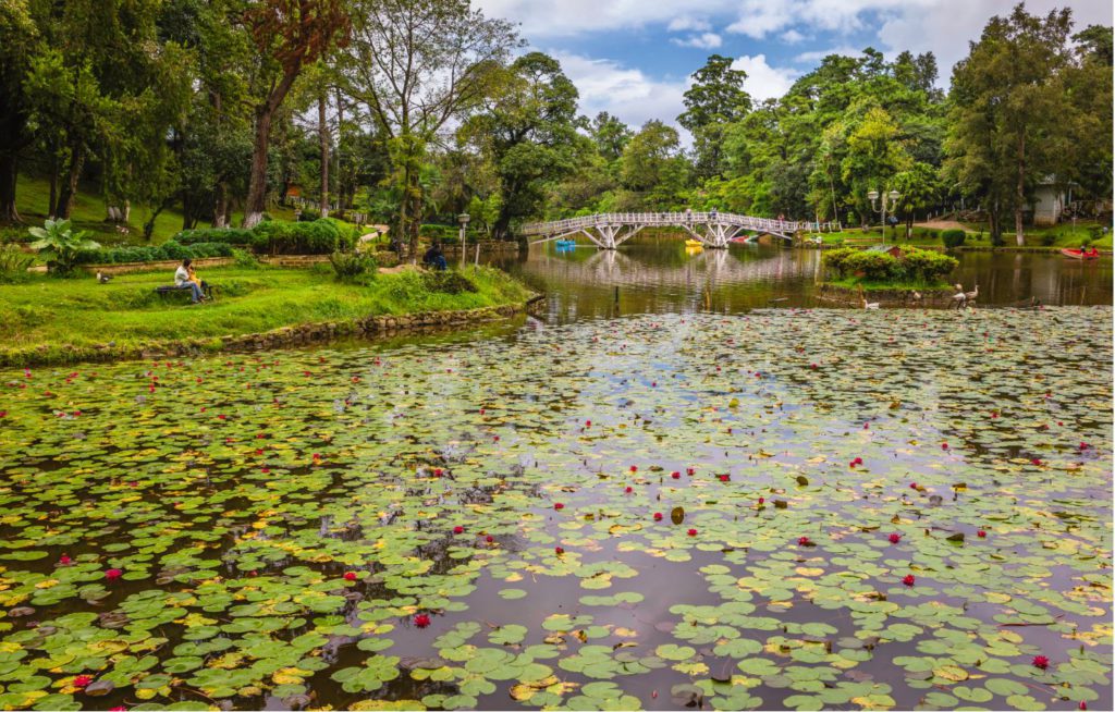 Ward’s Lake, Shillong