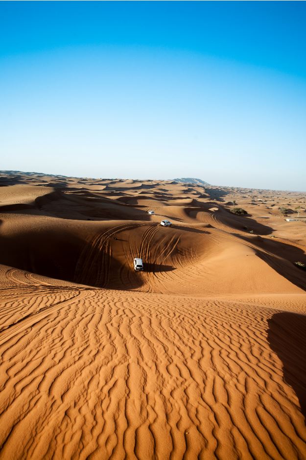 Dune Bashing in the desert