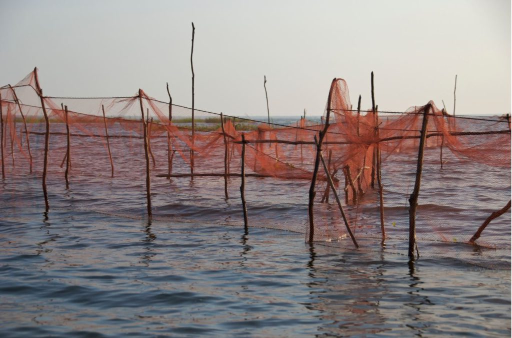 Fishing nets on the Tonle Sap lake