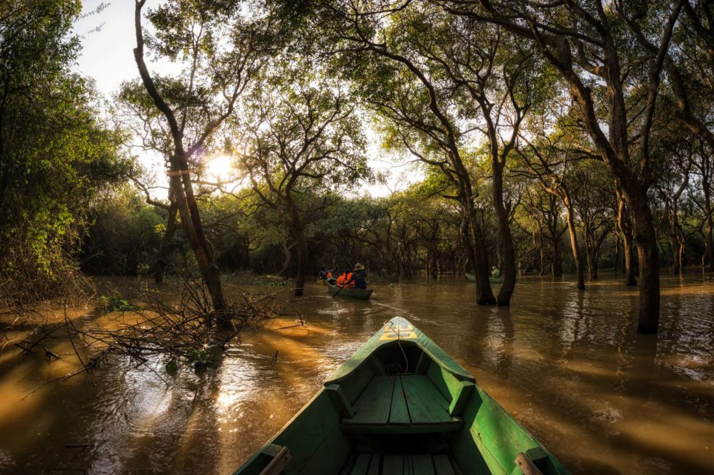 Mangrove forests in Kampong Phluk