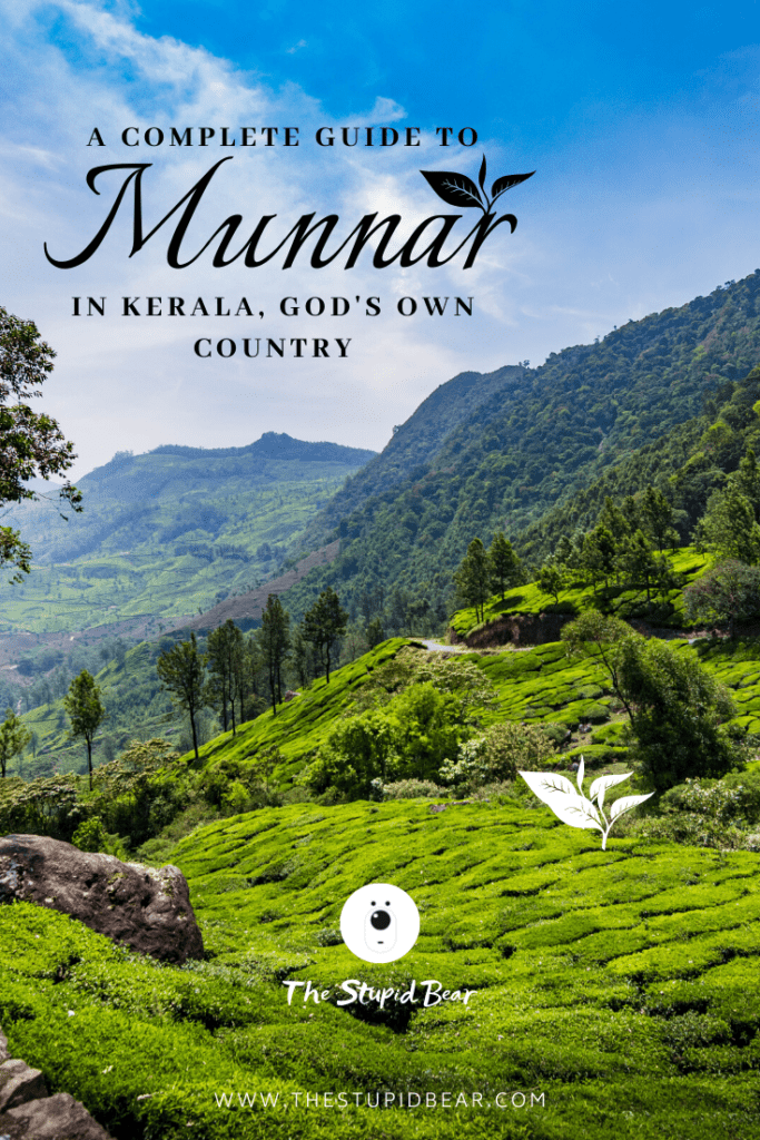 things to do in Munnar