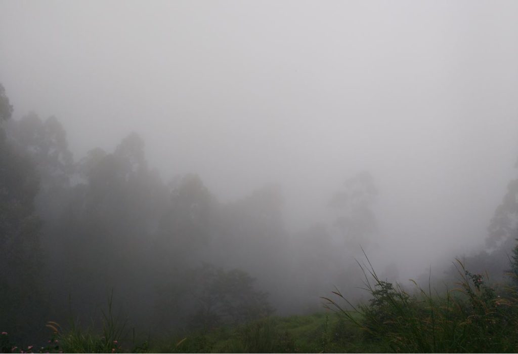 Munnar valley view completely covered in clouds