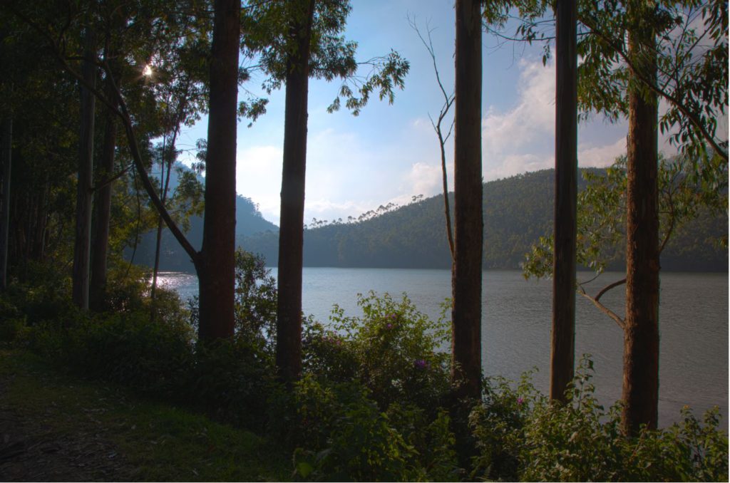 Mattupetti Dam, Munnar