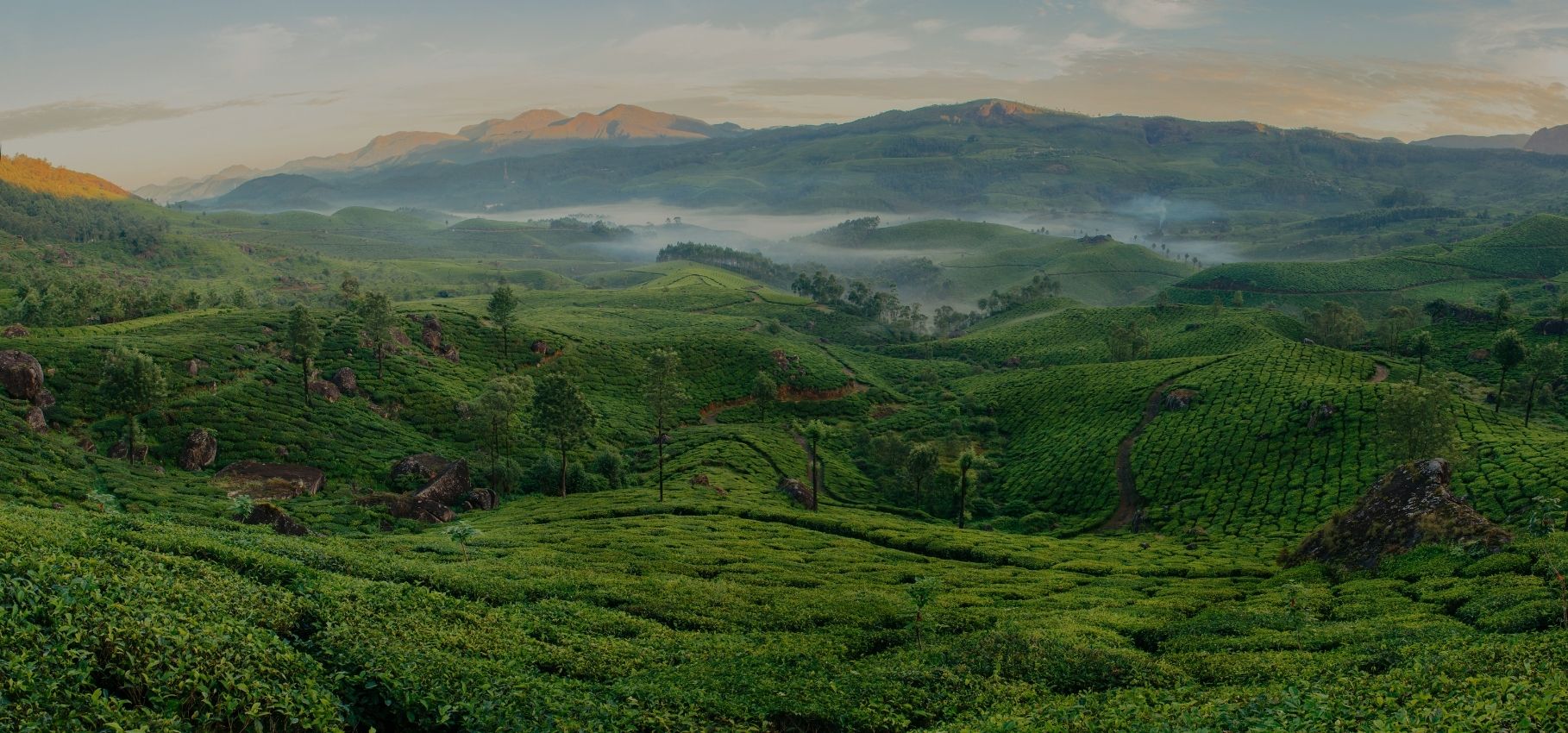 Best places to visit in and around Munnar, India