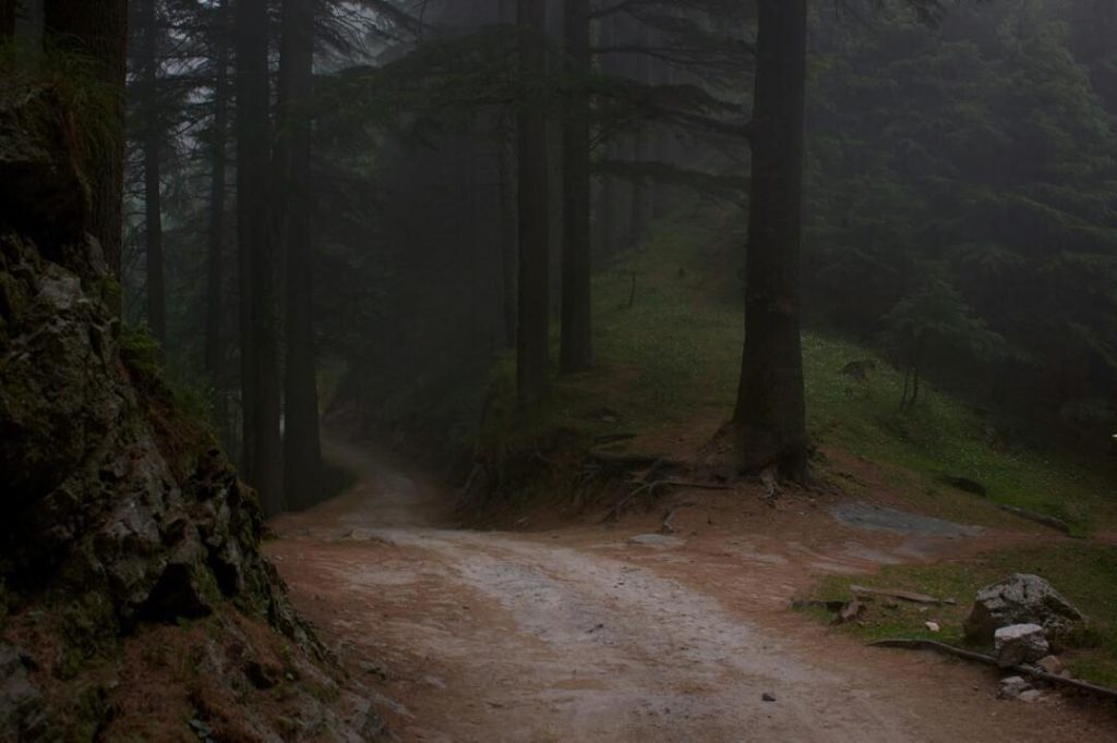 Kalatop Sanctuary near Khajjiar, Dalhousie