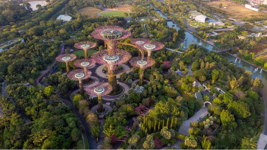 Sustainable ecosystem of Gardens by the Bay