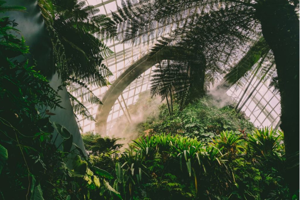 Conservatory filled with mist requires constant cooling