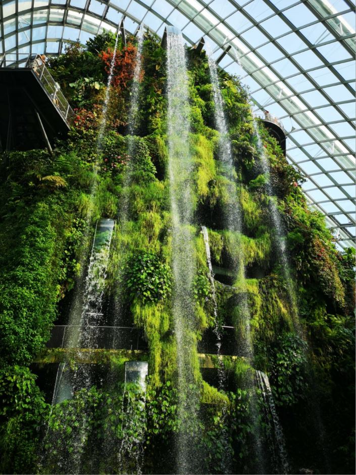 A 30m indoor waterfall inside Cloud Forest, Singapore