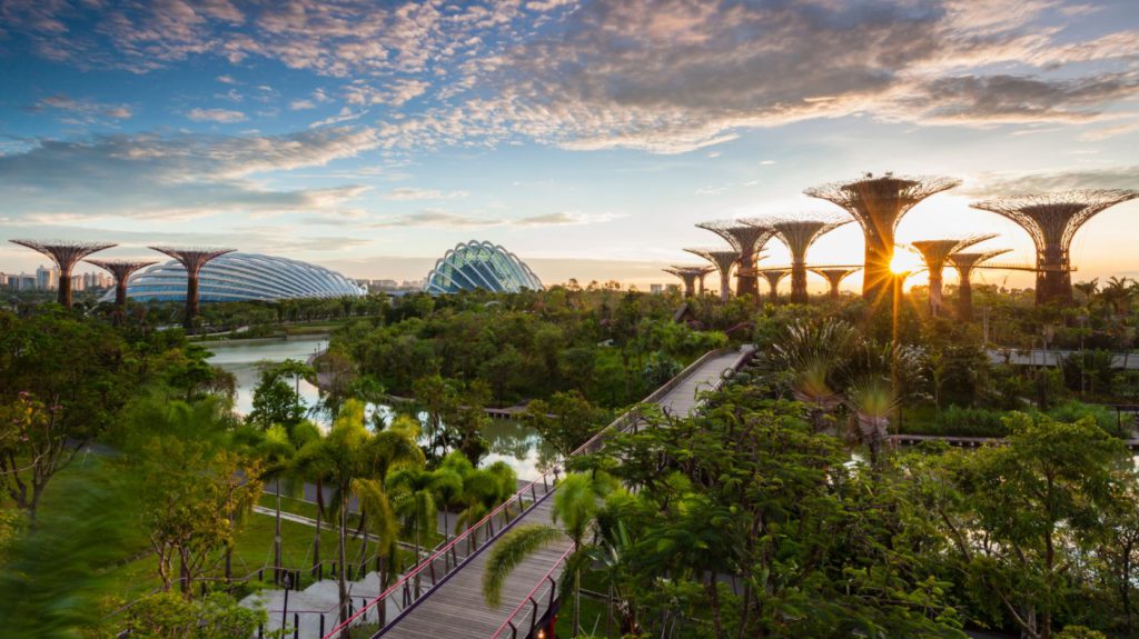 Gardens by The Bay_3