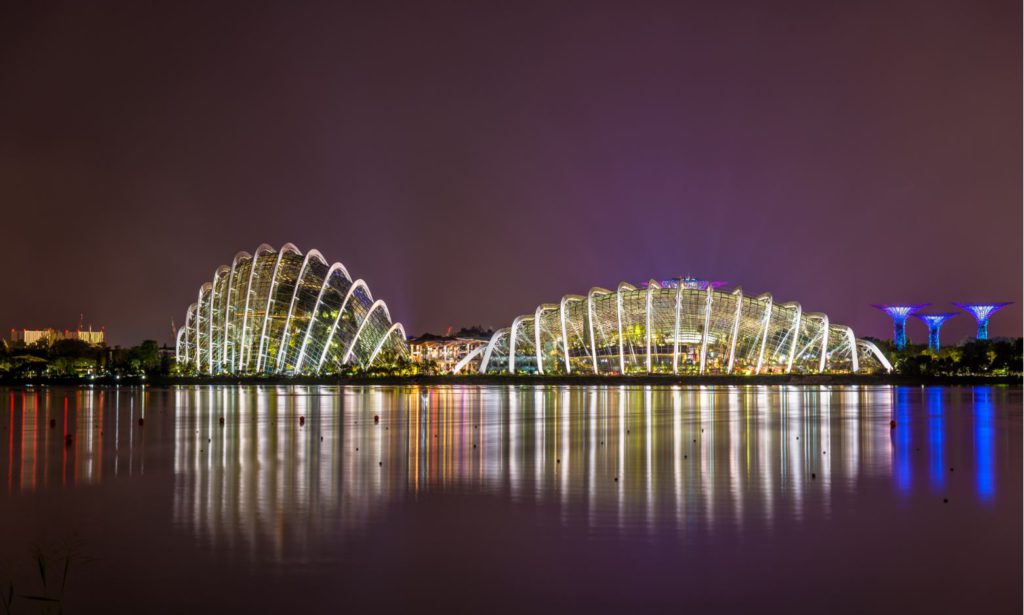 Supertrees lit at night during Garden Rhapsody