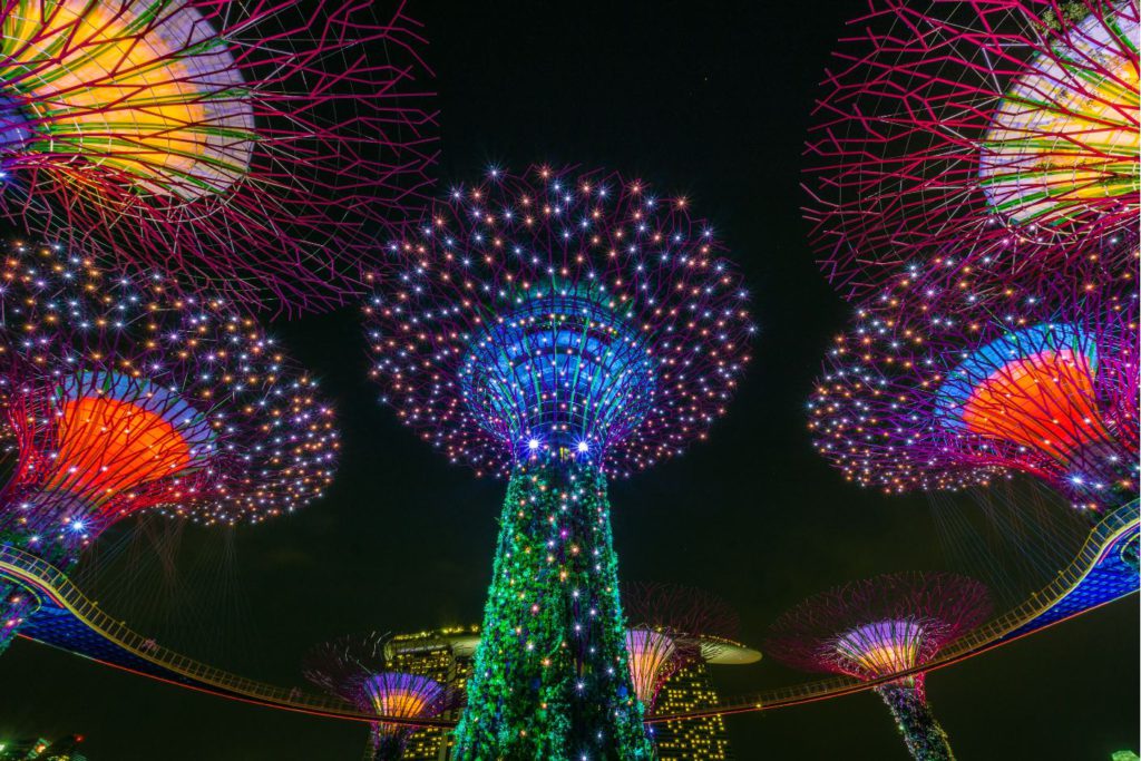 Supertrees lit at night during Garden Rhapsody