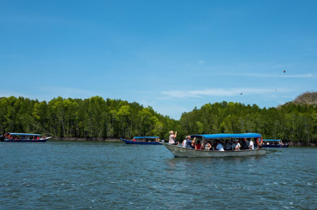 Boat ride and feeding Eagles in Kilim Karst Geoforest Park