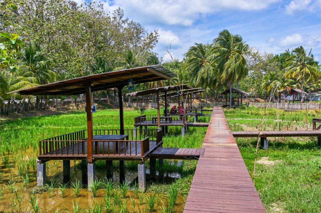 Laman Padi or the Rice Museum in Langkawi