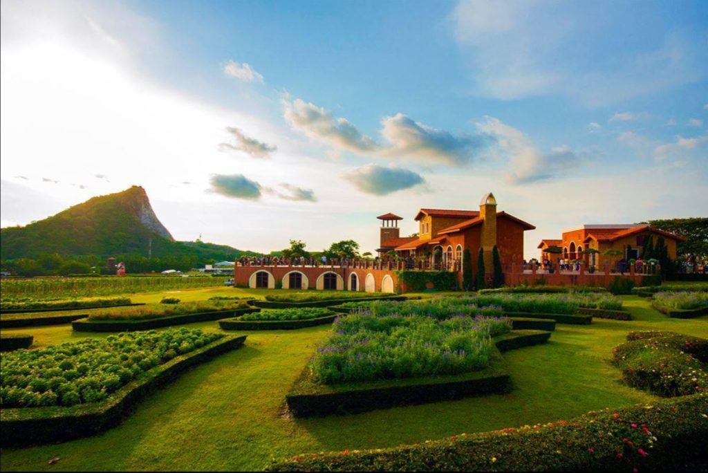 Silverlake Vineyard near Pattaya courtesy@silverlakevineyard