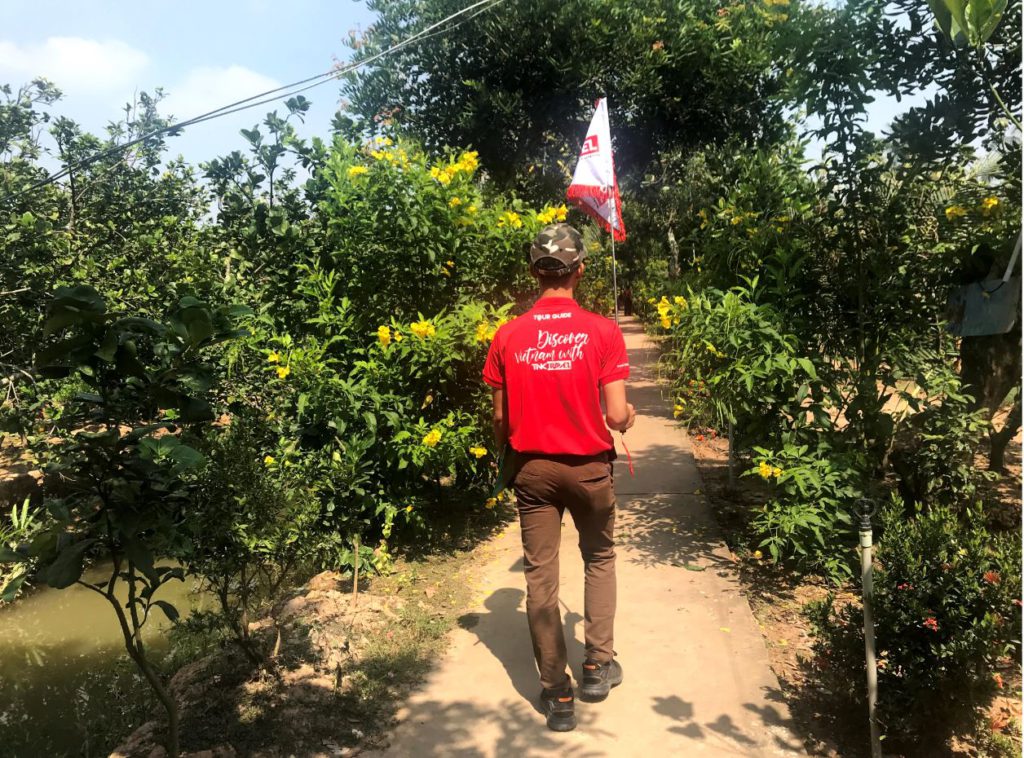 In the Pomelo orchards on the Tortoise Island