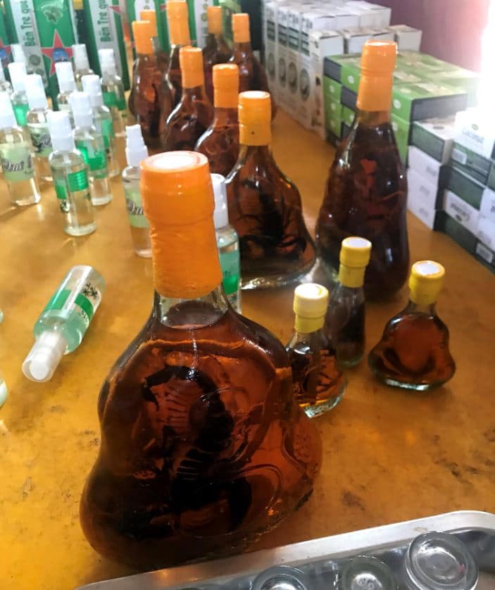 Scorpion and snake in rice wine at the coconut farm in Mekong delta, Vietnam