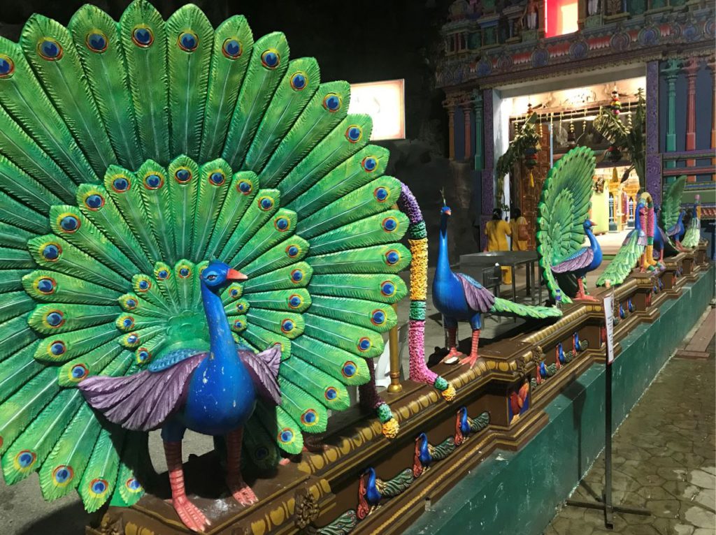 Peacocks on the railing of the main temple inside Batu Caves