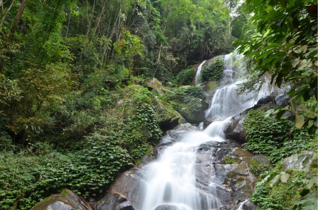 Huay Kaew Waterfalls, Chiang Mai