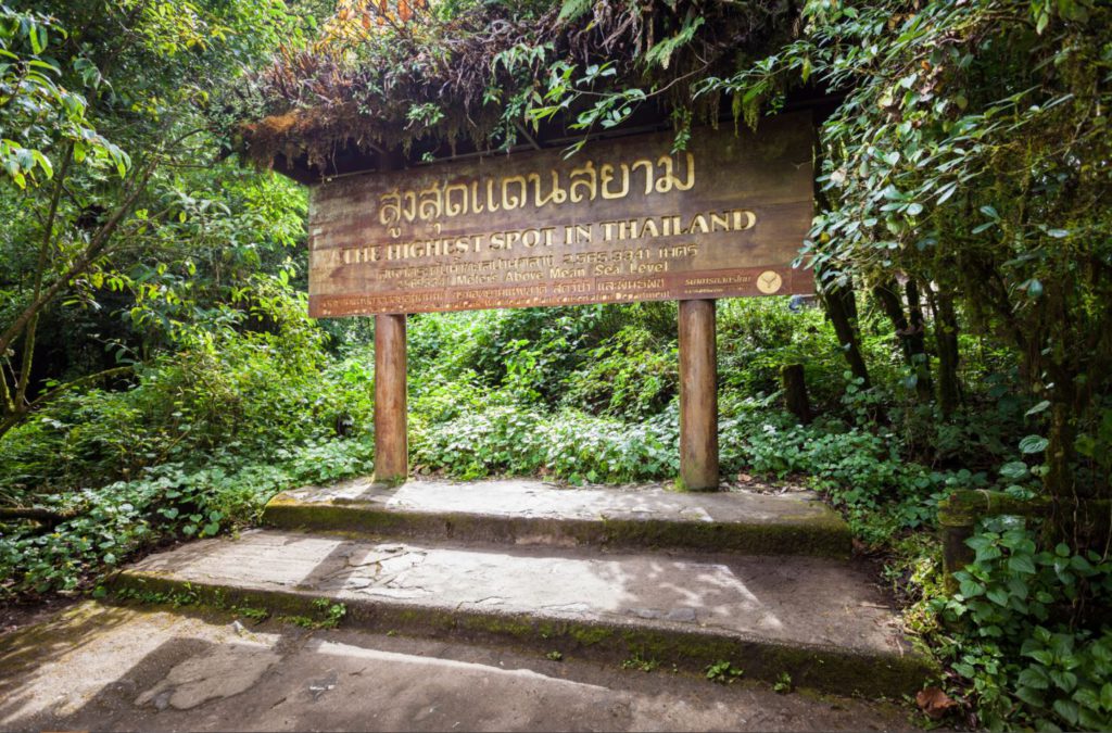 Highest point in Thailand at Doi Inthanon