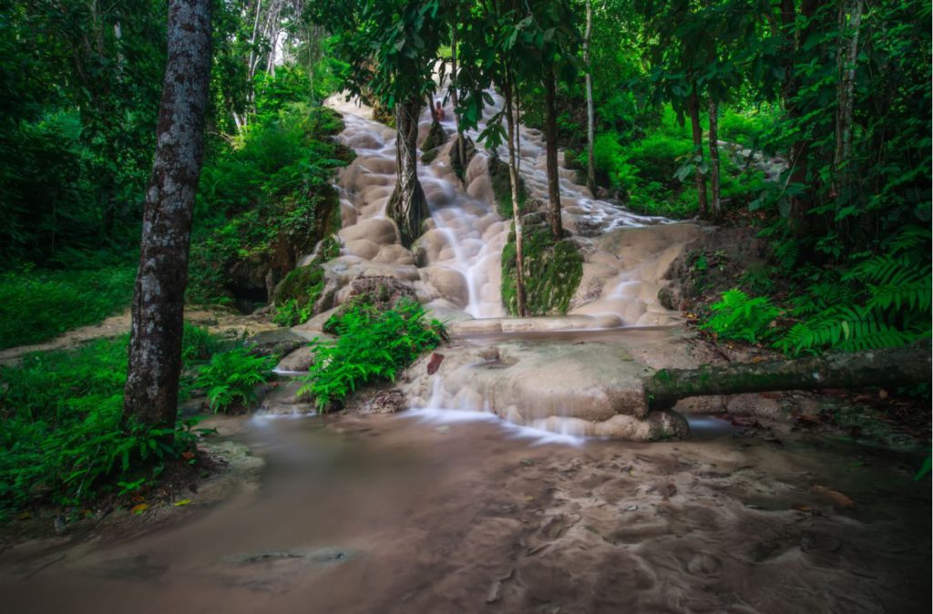 Bua Tong or Sticky waterfalls, north of Chiang Mai