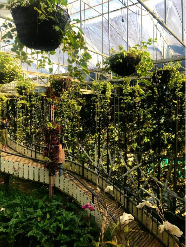 Hanging gardens with exotic plants and flowers in the greenhouse