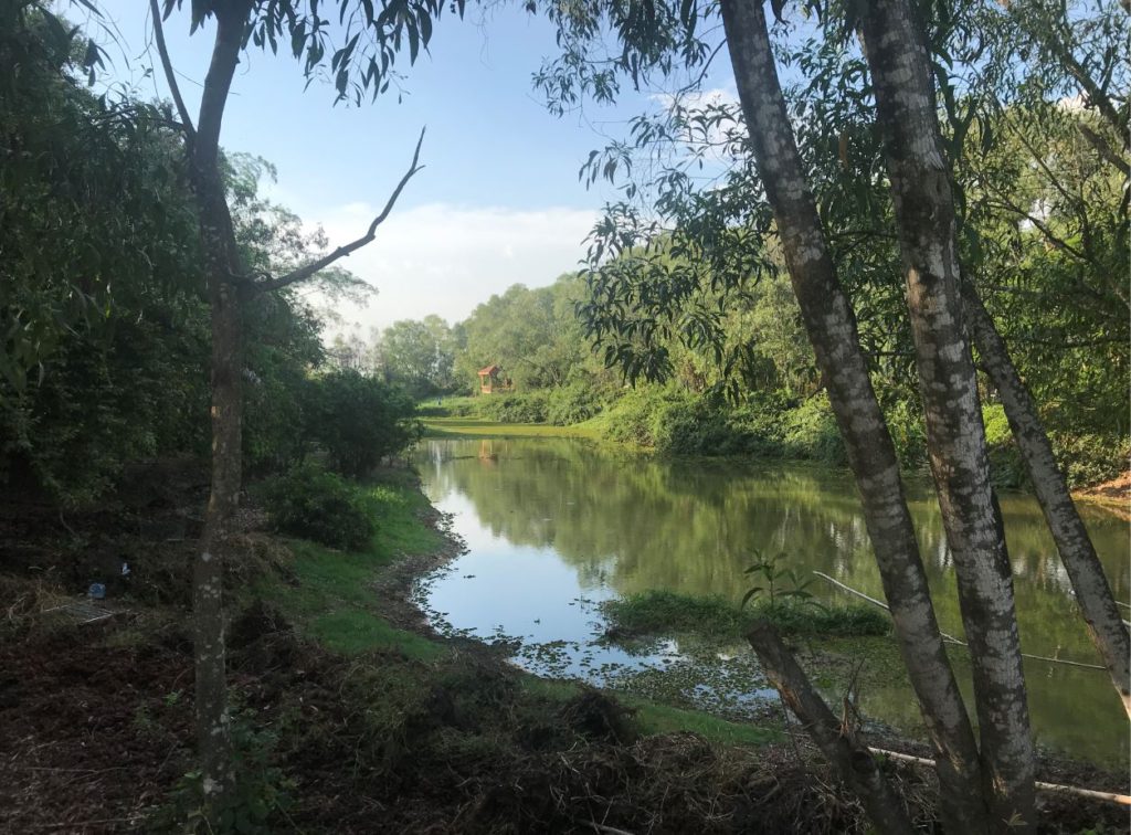 A pond, earlier filled with dead bodies inside the killing fields