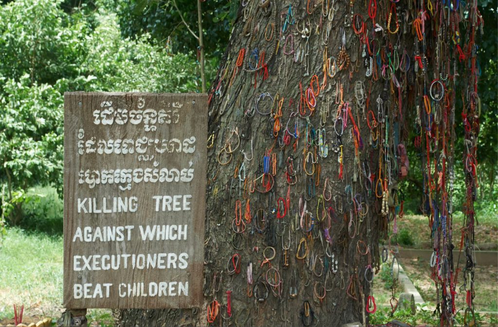 The tree against which kids were killed