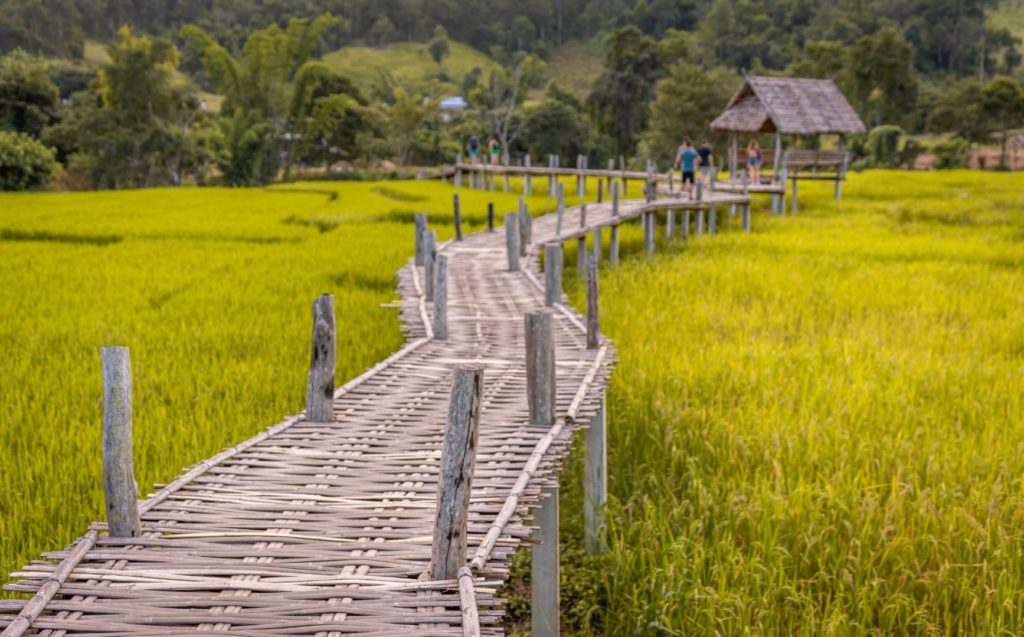 Woven Bamboo Bridge in Pai