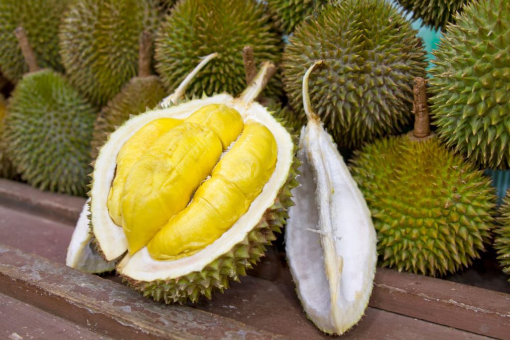 Durian in Thailand