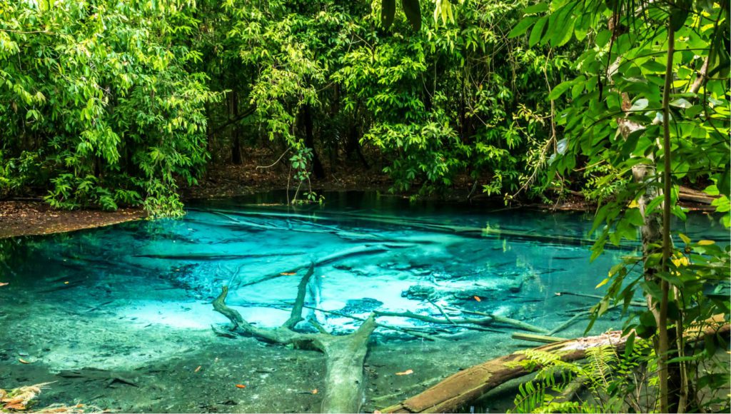 Emerald Pool Hot Springs in Krabi