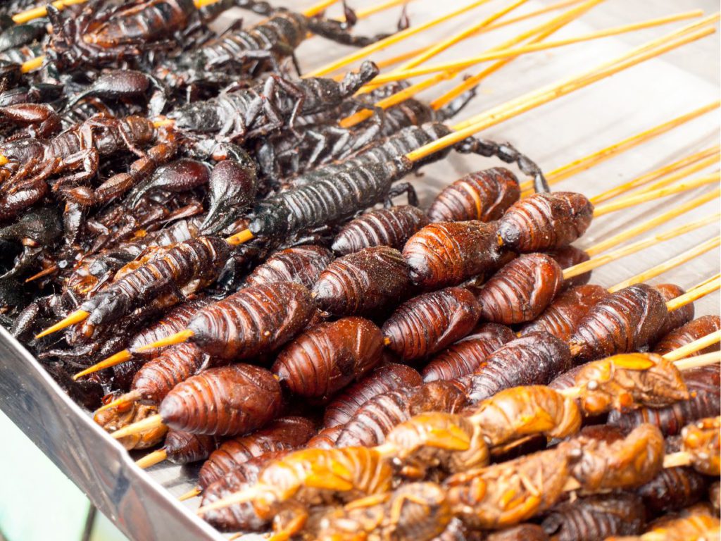 Roasted Fried insects on Skewers