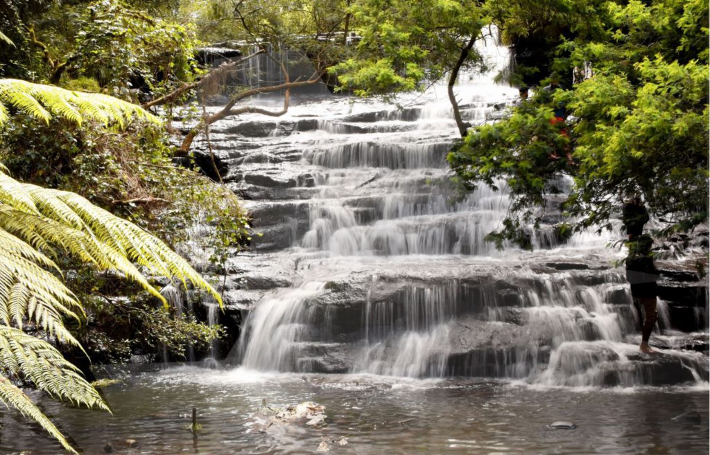 Vattakanal Waterfalls