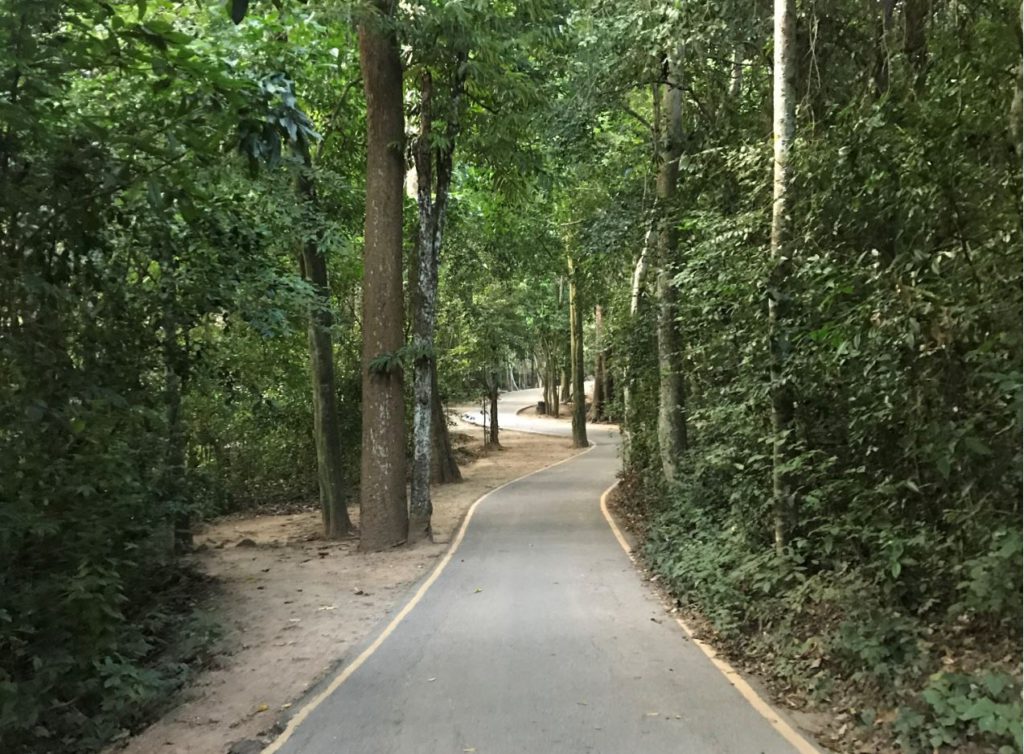 Trekking in the morning hours inside Erawan National Park