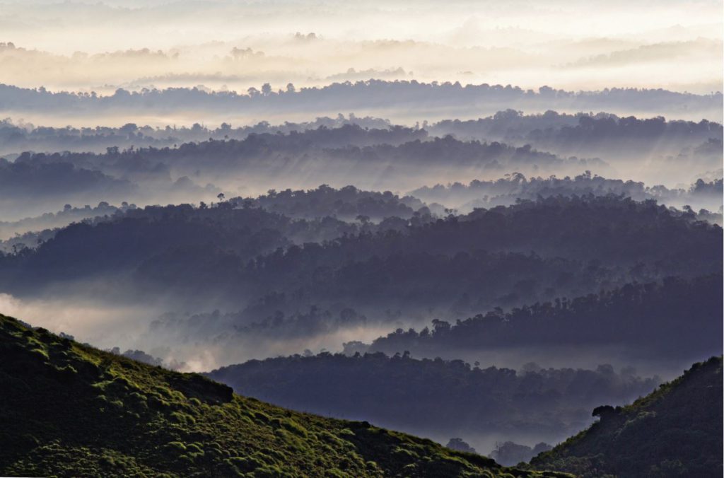 Sunrise View from Thadiyandamol Peak