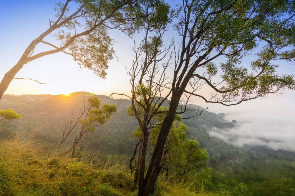 Sunrise in Coorg