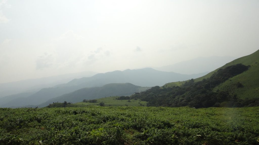 View in Mandalpatti