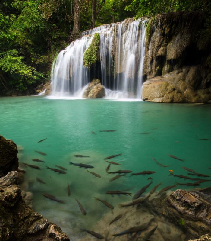 รายการ 102+ ภาพพื้นหลัง อุทยานแห่งชาติ น้ำตก เอราวัณ คมชัด